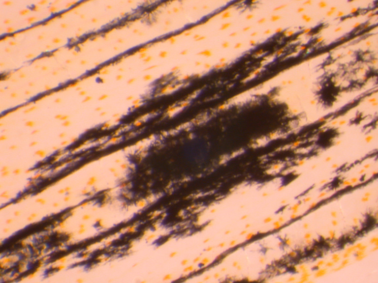 Stacks Image 384